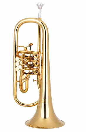 Tenorhorn